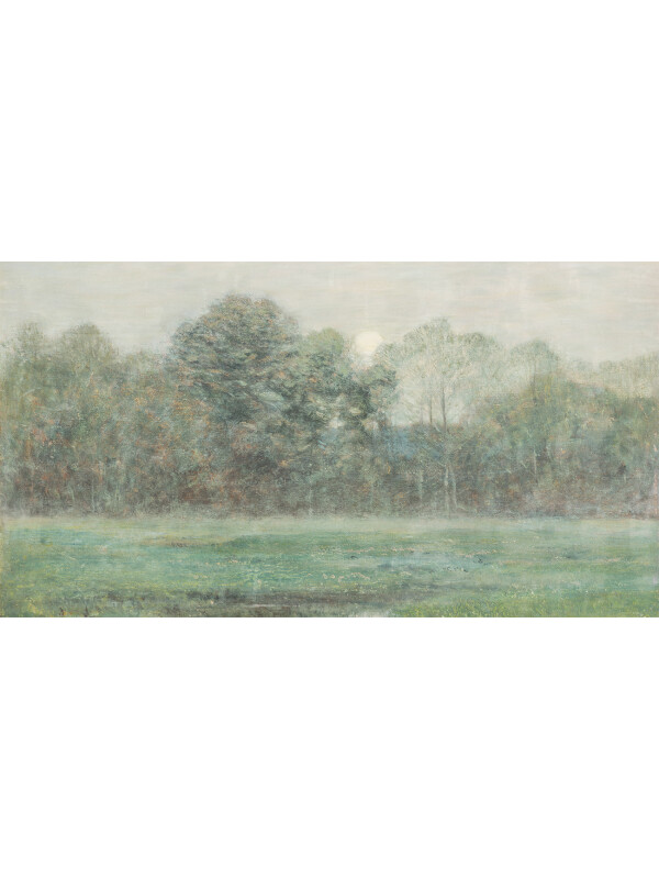 Blurred Landscape