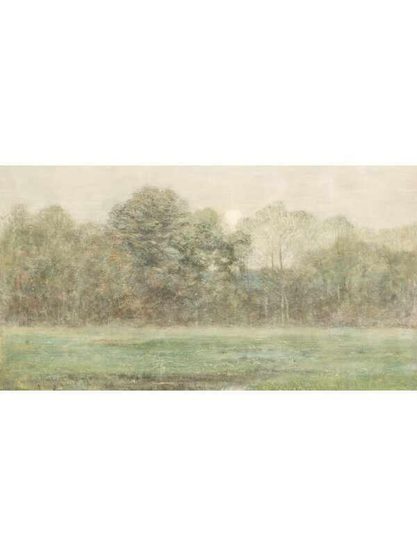 Blurred Warm Landscape