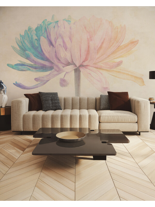 Chrysanthemum