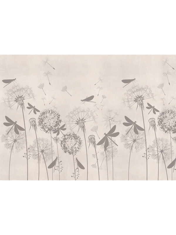 Dandelions