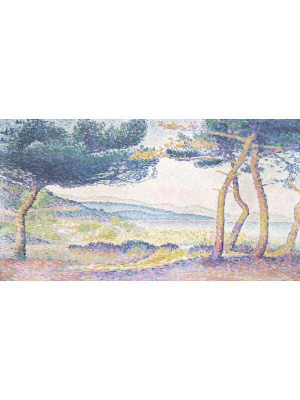 Enchanted Pines