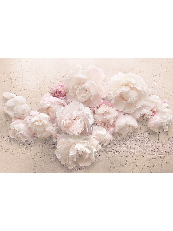 Tapet Peony Wall 3