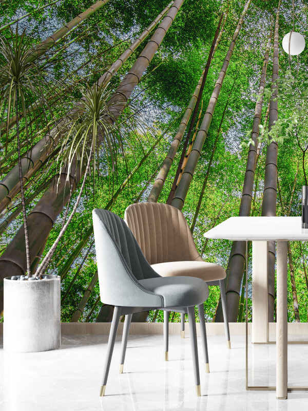 Tapet Bamboo Trees 2