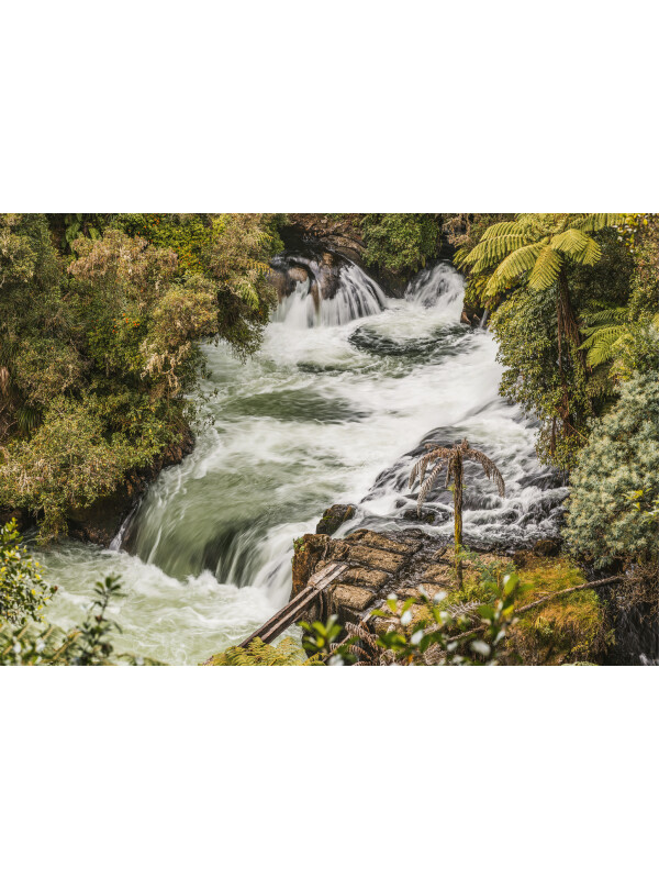 Tapet Kaituna River 3