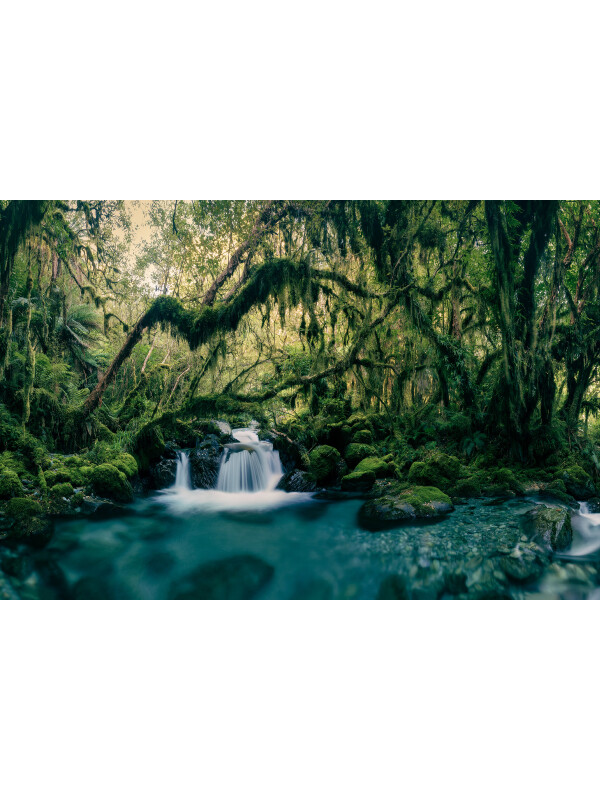 Tapet Moss Waterfall 3