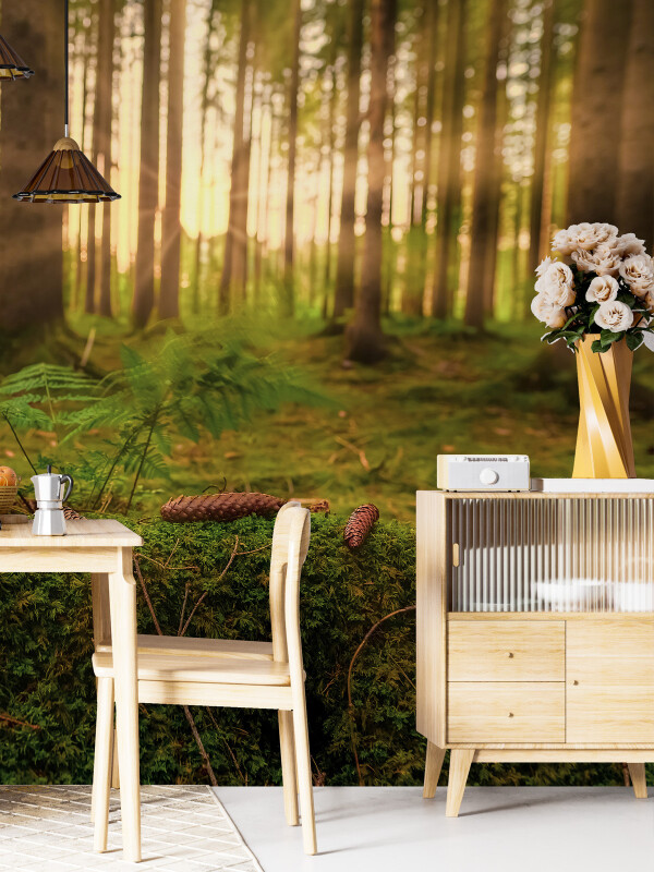 Tapet Sunny Forest 1