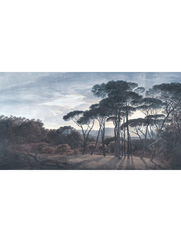 Italian Morning Pines