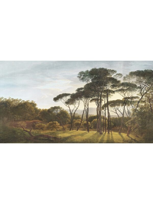 Italian Pines