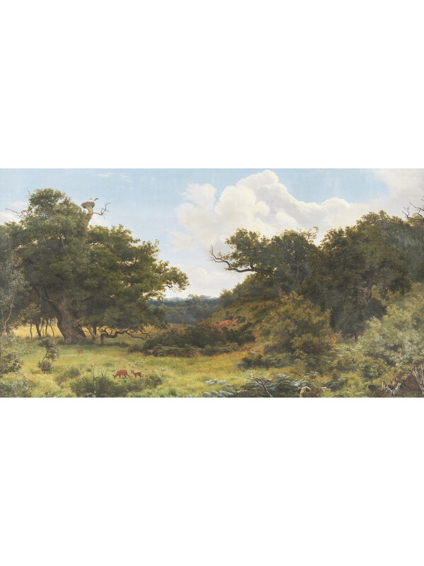 Oak Valley