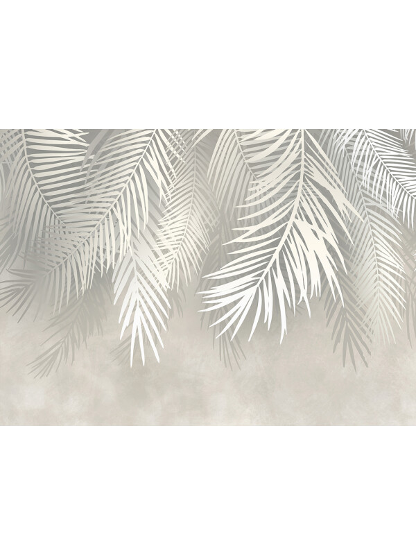 Palm Above