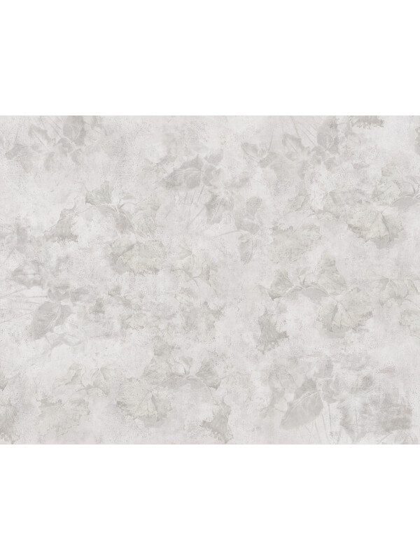 Study of Leaves 