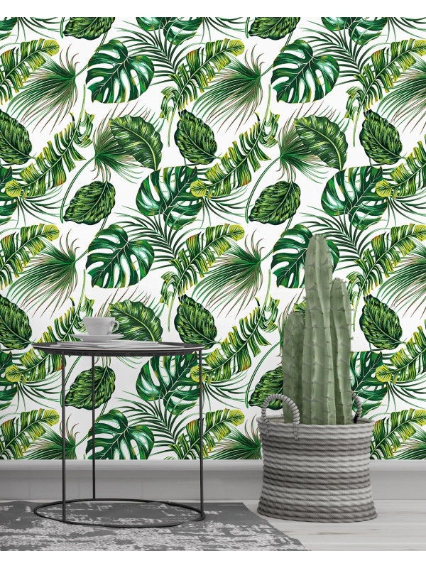 Tropical Garden