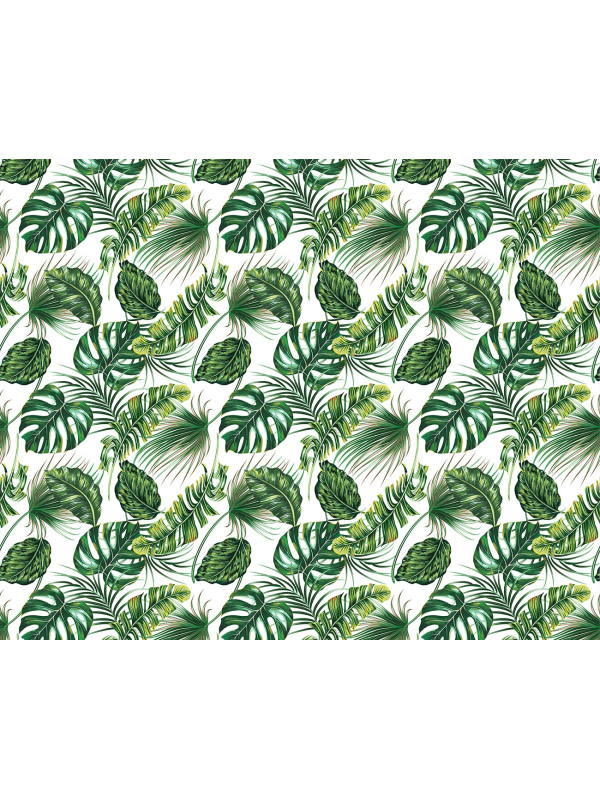 Tropical Garden