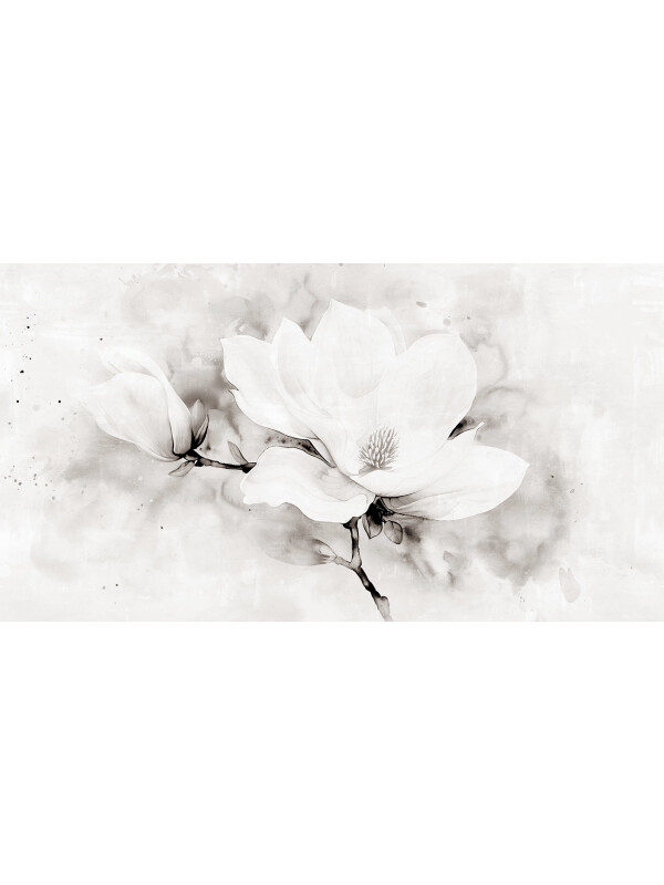 Vanilla Orchid