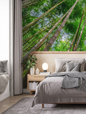 Tapet Bamboo Trees 1