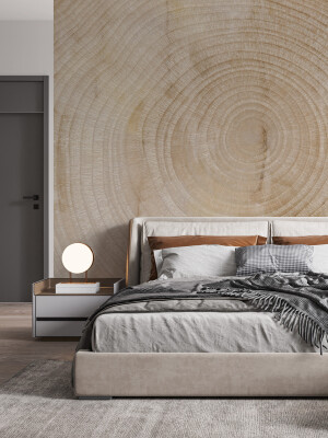 Tapet History Trunk 1