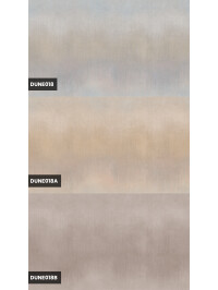 Dust