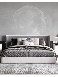 Moon Experiment