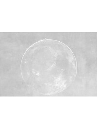 Moon Experiment