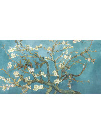Almond Blossom