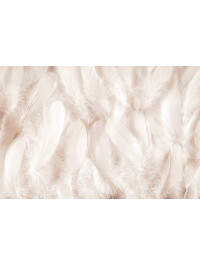 Tapet Angelic Feathers