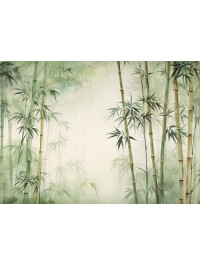 Bamboo Forest