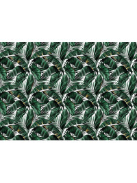 Banana Leaves