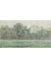 Blurred Landscape