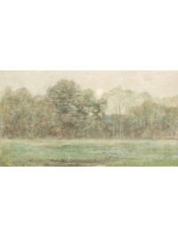 Blurred Warm Landscape