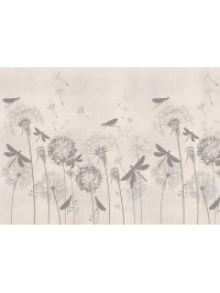 Dandelions