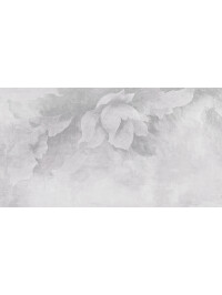 Fading Morphology