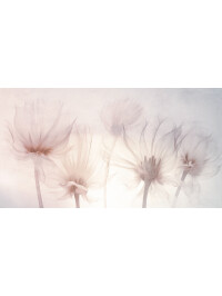 Flower Gleams