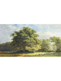 Forest View
