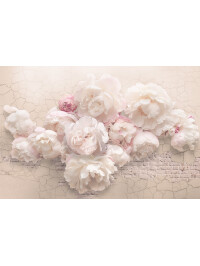 Tapet Peony Wall 3