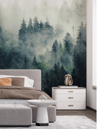 Tapet Cold Morning 2