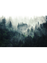 Tapet Cold Morning 3