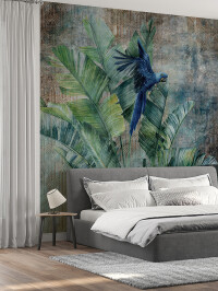 Tapet Jungle Groove 1