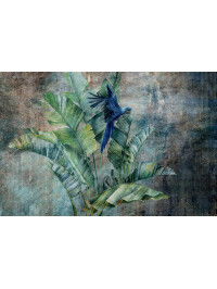 Tapet Jungle Groove 3