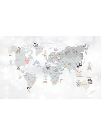 World Map Grey