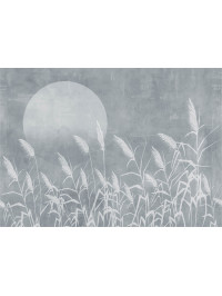 Other Reed