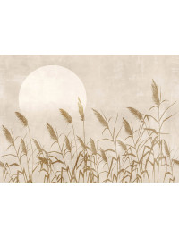Reed