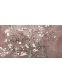 Rosid Blossom