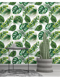 Tropical Garden