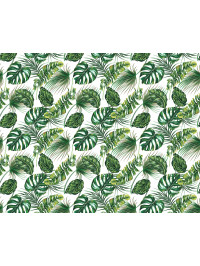Tropical Garden